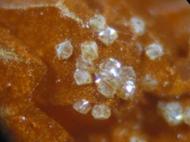 graulichite -(Ce)-photo & coll JDV